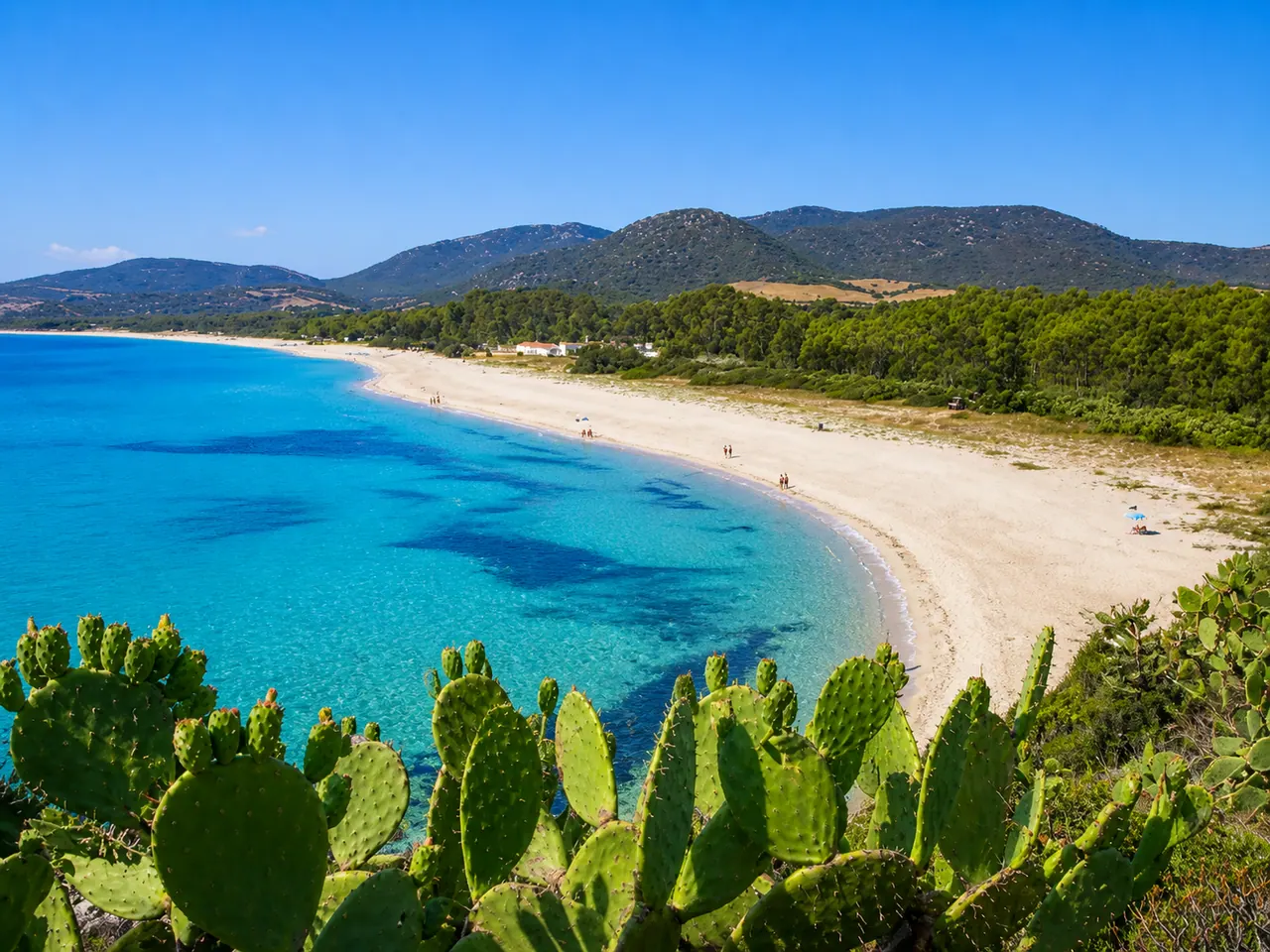 Cala Marina, Villasimius — lunga spiaggia di sabbia bianca con pineta e mare turchese